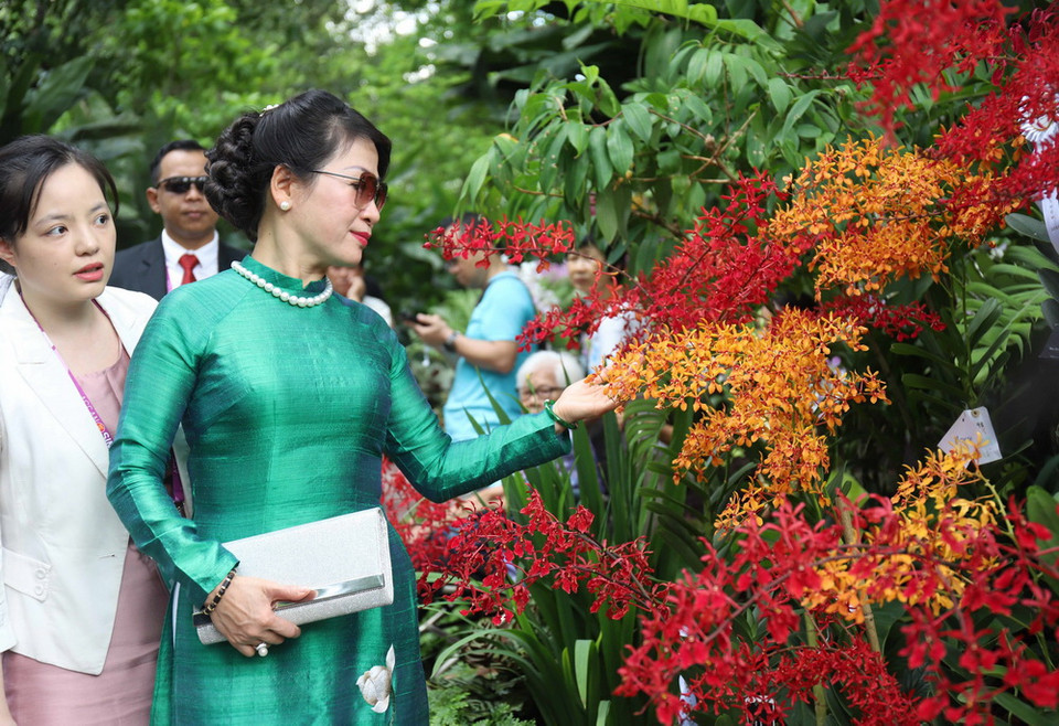 Bà Trần Nguyệt Thu, Phu nhân Thủ tướng Nguyễn Xuân Phúc, tại Vườn Bách thảo Singapore. (Ảnh: Xuân Vịnh/TTXVN)