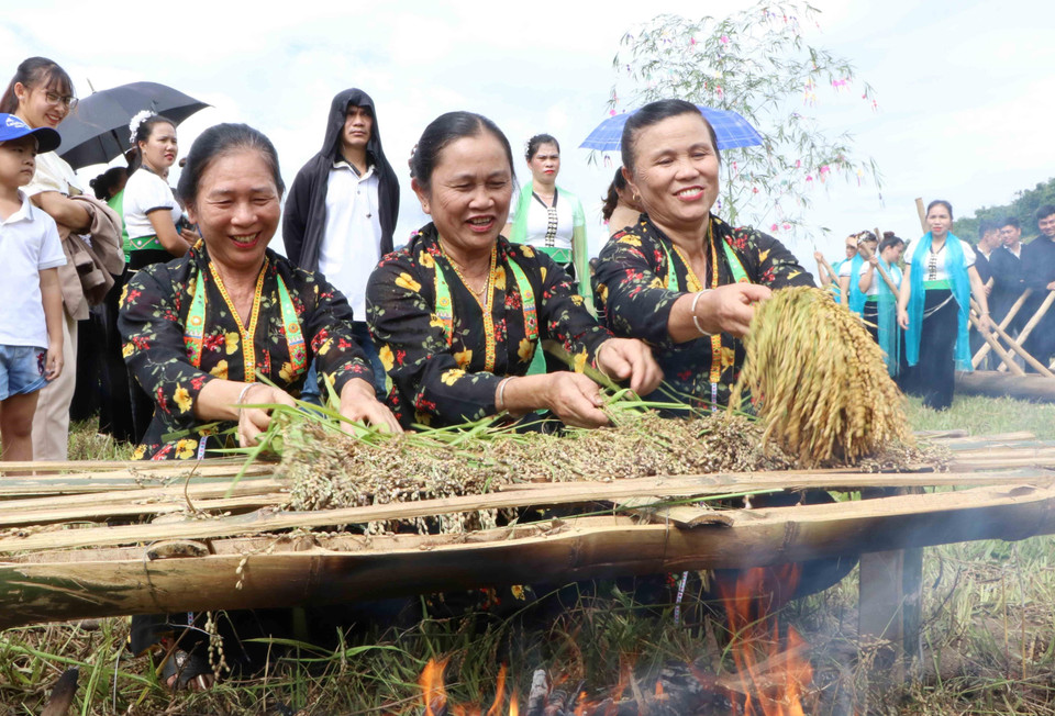 Sau khi cúng xong, lúa sẽ được nướng trên lửa để làm cốm. (Ảnh: Nguyễn Oanh/TTXVN)