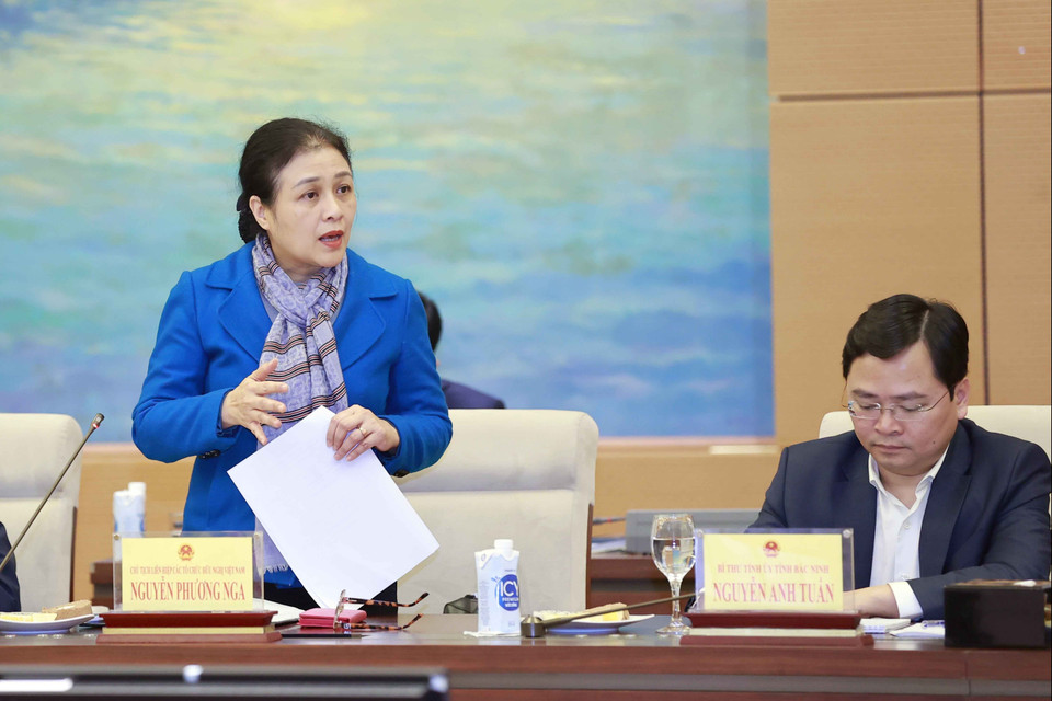 Chủ tịch Liên hiệp các tổ chức hữu nghị Việt Nam Nguyễn Phương Nga phát biểu. (Ảnh: Doãn Tấn/TTXVN)