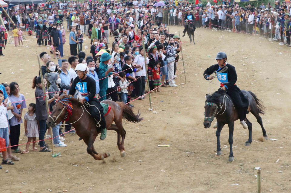 Người điều khiển ngựa là những nông dân, ngồi trên con ngựa không có yên, không bàn đạp chân, chỉ có dây cương làm từ thừng bện. (Ảnh: Nguyễn Oanh/TTXVN)