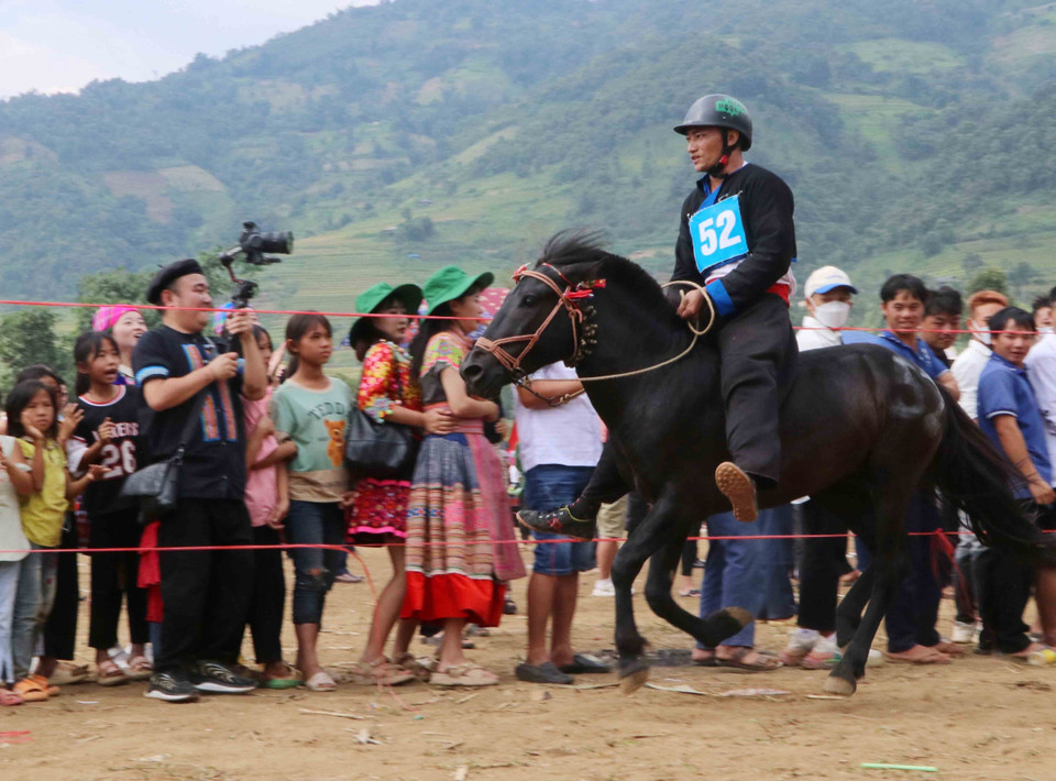 Ngựa đua số 53 và nài ngựa Giàng A Sinh ở xã Tả Lèng, huyện Tam Đường được đánh giá rất cao. (Ảnh: Nguyễn Oanh/TTXVN)