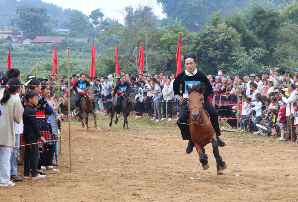 Các nài ngựa tranh tài rất gay cấn. (Ảnh: Nguyễn Oanh/TTXVN)