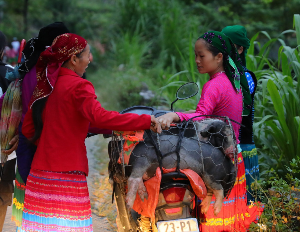 5h sáng, nhiều bà con đã có mặt tại chợ. (Ảnh: Hoàng Hiếu/TTXVN)