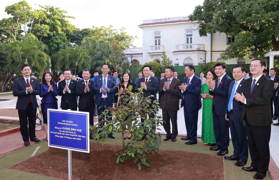 Chủ tịch Quốc hội Vương Đình Huệ trồng cây lưu niệm tại Đại sứ quán Việt Nam tại Cuba. (Ảnh: Doãn Tấn/TTXVN)