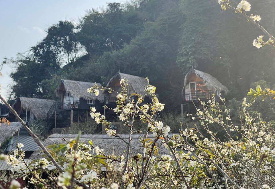 Khu homestay nằm trên quả đồi rộng cả hécta với nhiều khu thiết kế phong cách khác nhau phù hợp với cả các cặp đôi, đi gia đình hay nhóm bạn. (Ảnh: Mai Mai/Vietnam+)