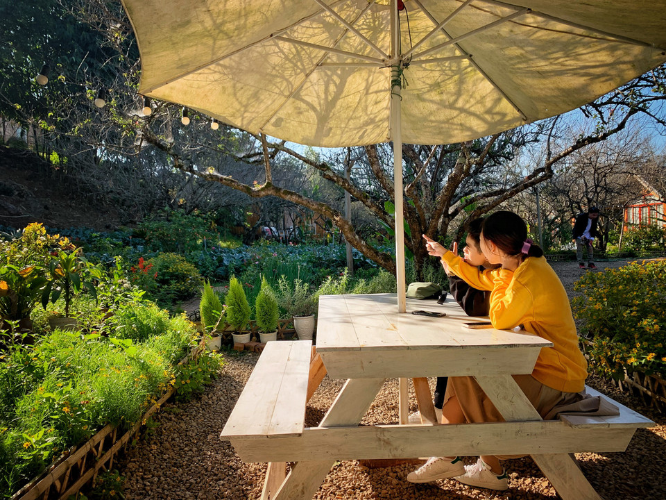 Tuy dịch bệnh vẫn chưa hoàn toàn được kiểm soát, nhưng homestay này dịp cuối năm hầu như đều kín phòng cuối tuần, lượng khách đến trong tuần như thế này vẫn khá đông. (Ảnh: Mai Mai/Vietnam+)