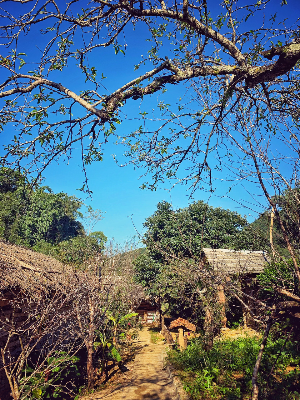 Lối vào khu homestay mới của A Chu. (Ảnh: Mai Mai/Vietnam+)