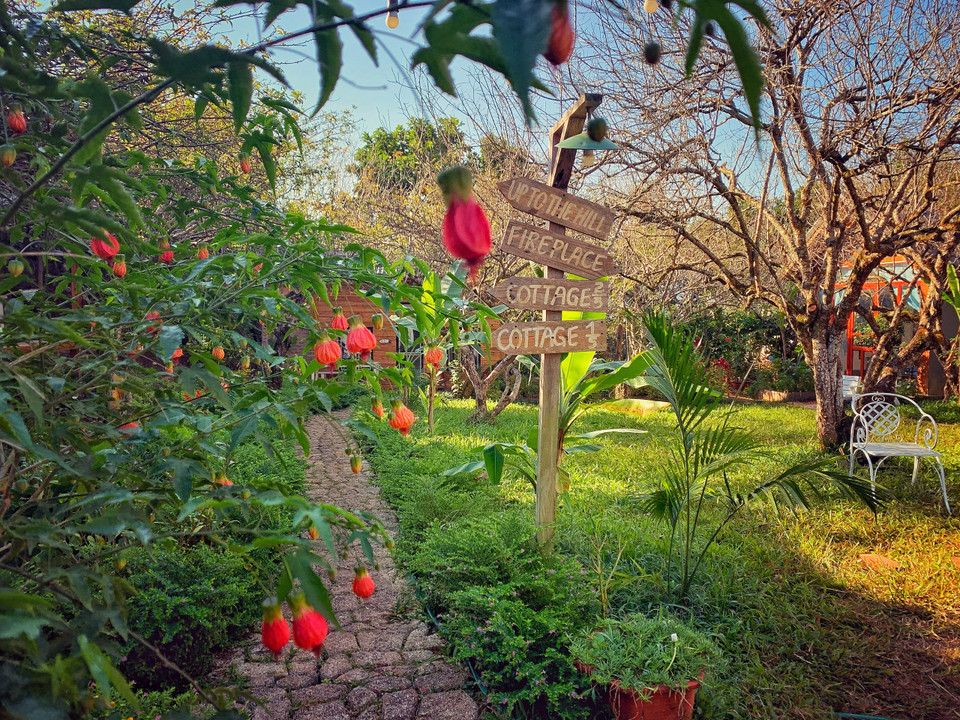 Khung cảnh lãng mạn là điểm đến ưa thích của giới trẻ. Giá phòng homestay từ 600.000 đồng đến khoảng hơn 1 triệu tùy từng hạng phòng và ngày nghỉ thường hay cuối tuần. Homestay cũng có khu nhà sàn cho nhóm đông. (Ảnh: Mai Mai/Vietnam+)