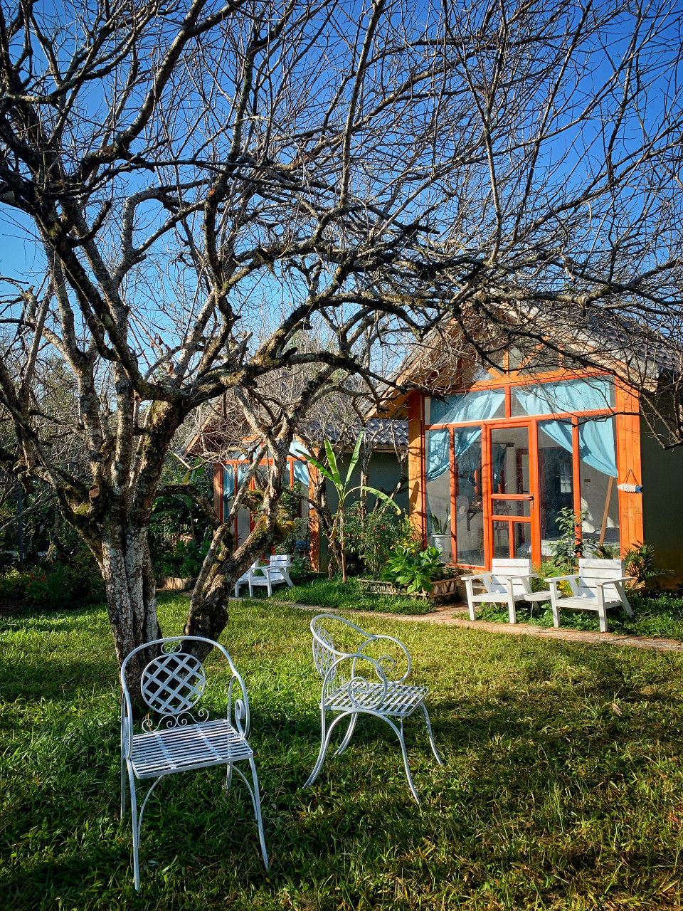 Homestay nằm đối diện rừng thông bản Áng ở xã Đông Sang, huyện Mộc Châu. (Ảnh: Mai Mai/Vietnam+)