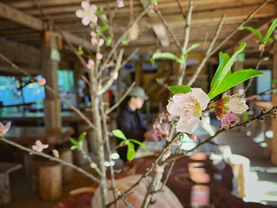 Những năm trước đây, homestay đón chủ yếu khách Tây nhưng giờ là điểm đến cho khách nội ưa trải nghiệm văn hóa bản địa và nơi nghỉ gần gũi thiên nhiên. (Ảnh: Mai Mai/Vietnam+)