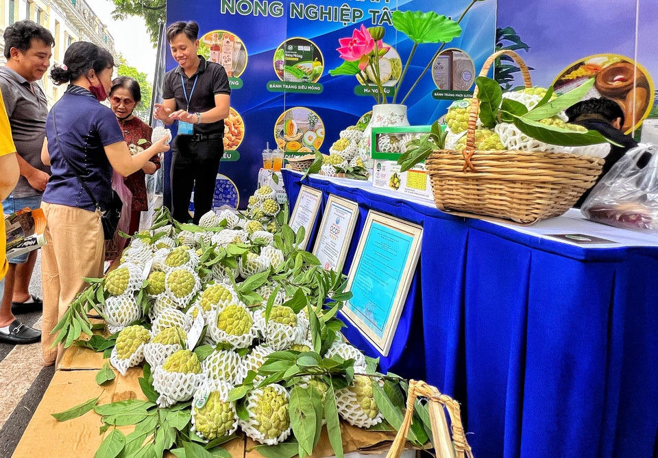 Na trồng trên khu vực núi Bà Đen là một trong những sản phẩm nổi tiếng của Tây Ninh. (Ảnh: Mai Mai/Vietnam+)