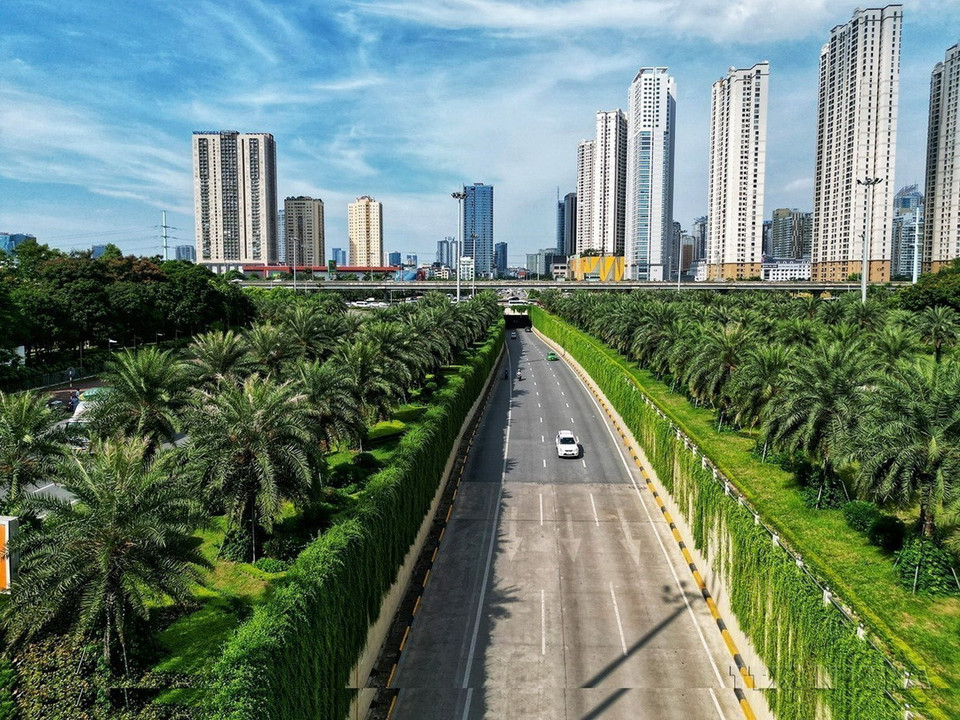 Cùng với mục tiêu của Chính phủ về việc trồng 1 tỷ cây xanh trong giai đoạn 2021-2025, thành phố Hà Nội đang nỗ lực trồng cây xanh nhằm cải thiện môi trường, vừa giúp giảm khói bụi, tiếng ồn, vừa nâng cao mỹ quan đô thị. (Ảnh: Tuấn Anh/TTXVN)