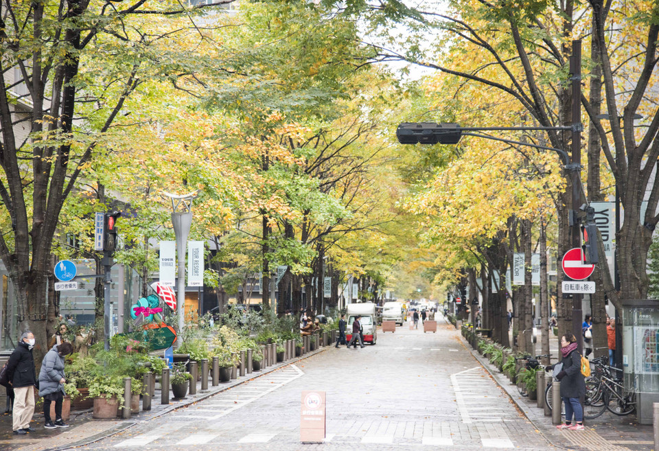 Một con đường tại khu trung tâm của thủ đô Tokyo, lá cây bắt đầu chuyển màu. (Ảnh: Thành Hữu/Vietnam+)
