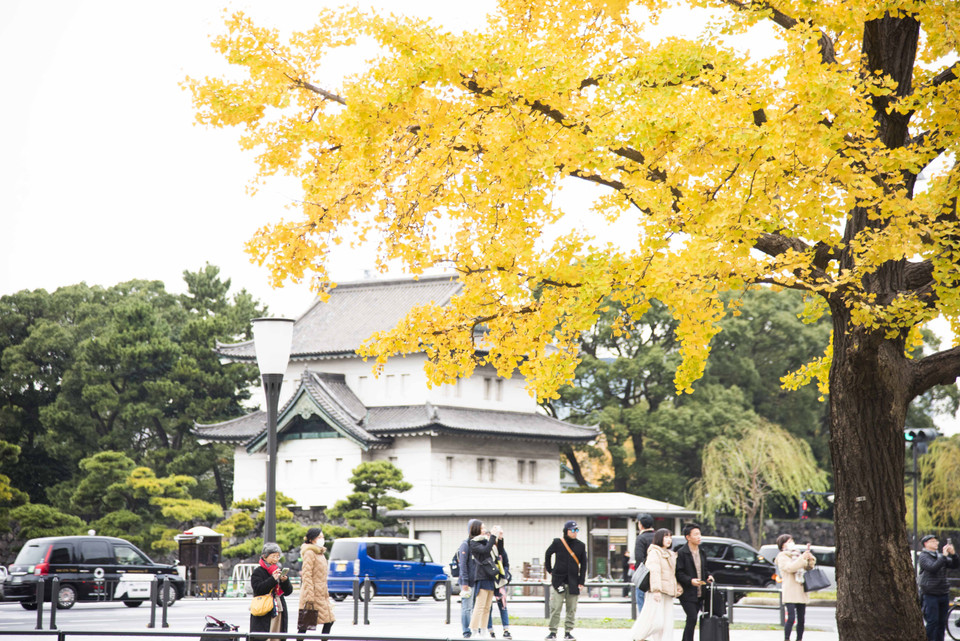 Một lâu đài trong quần thể Hoàng cung tại Thủ đô Tokyo, Nhật Bản.(Ảnh: Thành Hữu/Vietnam+)