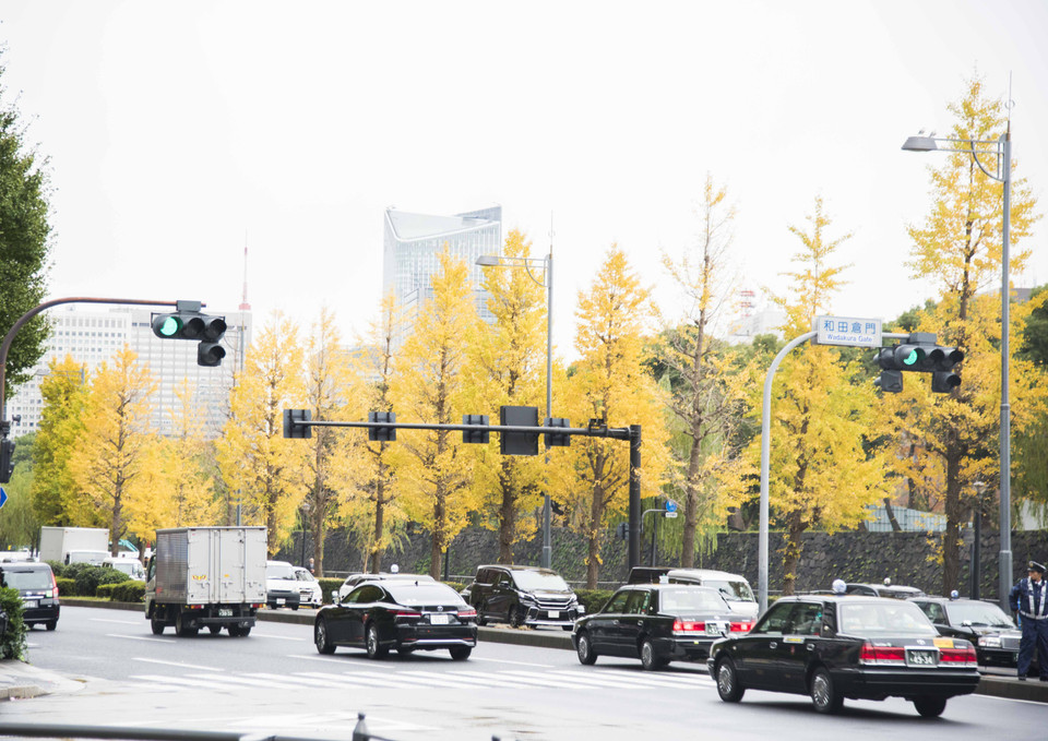 Một con đường trước Hoàng cung tại Tokyo, Nhật Bản. (Ảnh: Thành Hữu/Vietnam+)