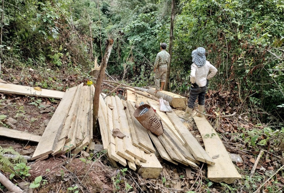 Những thanh/tấm ván gỗ có chiều dài từ 2 đến 3m, chiều rộng từ 25 đến 27cm còn ngổn ngang tại hiện trường. (Ảnh: Xuân Tiến/TTXVN)