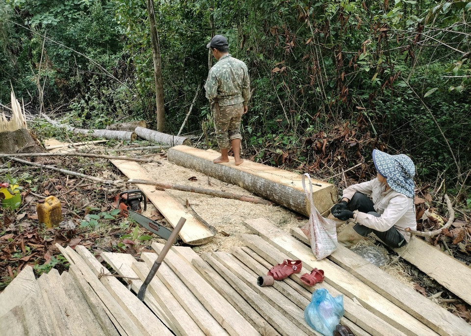 Xác nhận với phóng viên, hai người trong ảnh cho biết đi khai thác gỗ về để làm nhà ở. (Ảnh: Xuân Tiến/TTXVN)