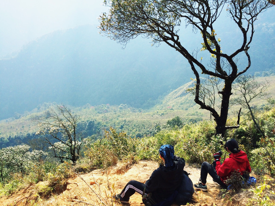 Trên đường hầu hết là cây bụi, lại đi dưới trời nắng nên các thành viên trong đoàn chúng tôi rất nhanh mất sức, thấy có bóng cây mừng như đang khát gặp nước. (Ảnh: Xuân Mai/Vietnam+)