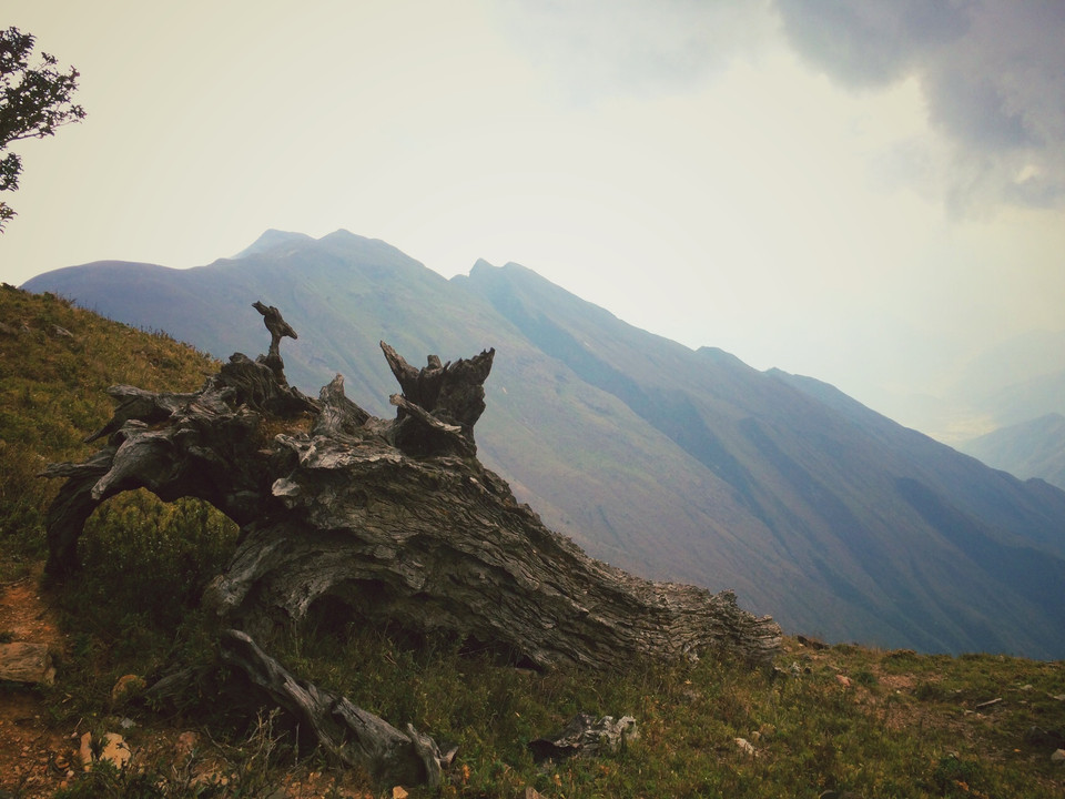 Là hậu quả của những trận cháy rừng. Càng nhìn càng xót xa trước những vạt núi trọc lóc. (Ảnh: Xuân Mai/Vietnam+)