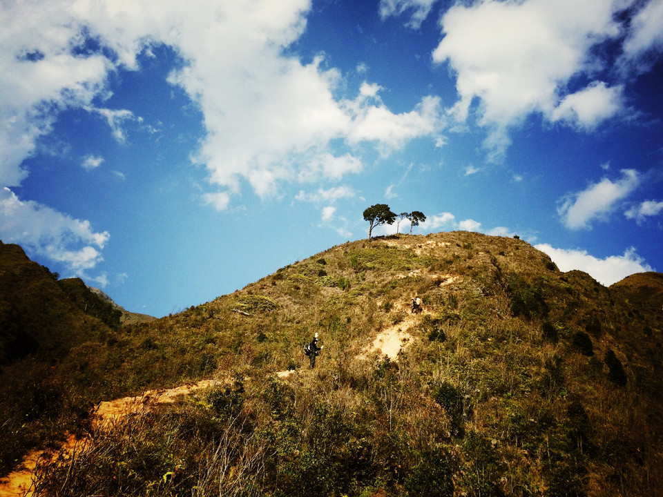 Dân 'phượt' thường gọi đây là đồi ba cây để đánh dấu mốc. Đến đồi ba cây là đã đi được gần nửa đường, ở độ cao khoảng 1.400. Sau đồi ba cây đường đi bắt đầu nhẹ nhàng hơn, không còn phải leo những con dốc trọc lốc đựng thẳng đứng nối tiếp nhau nữa... (Ảnh: Xuân Mai/Vietnam+)