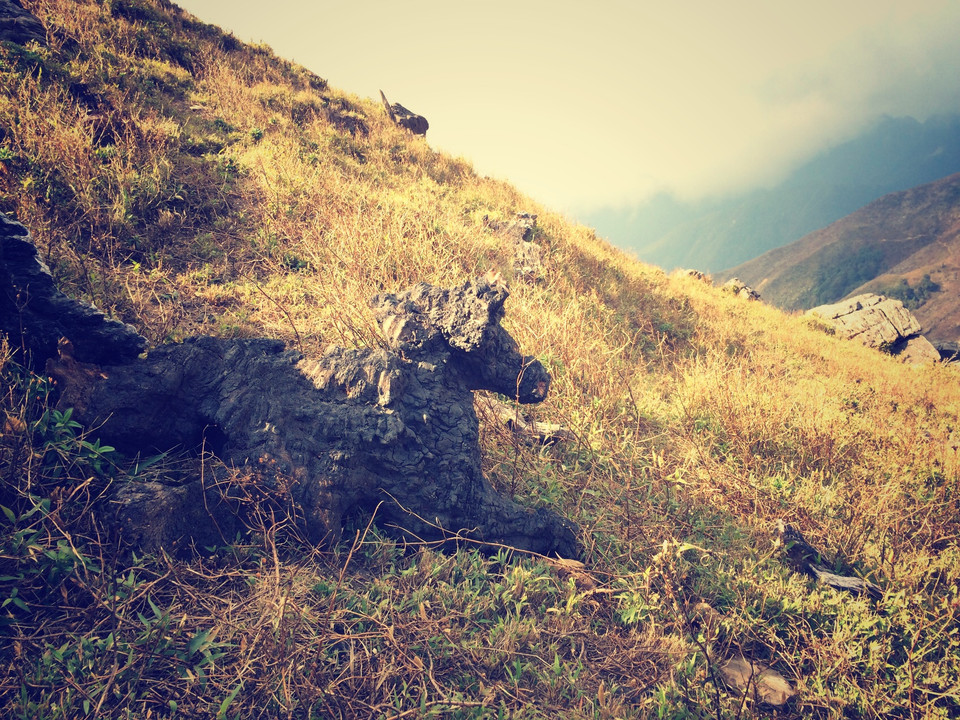 Một tác phẩm điêu khắc của tự nhiên... (Ảnh: Xuân Mai/Vietnam+)