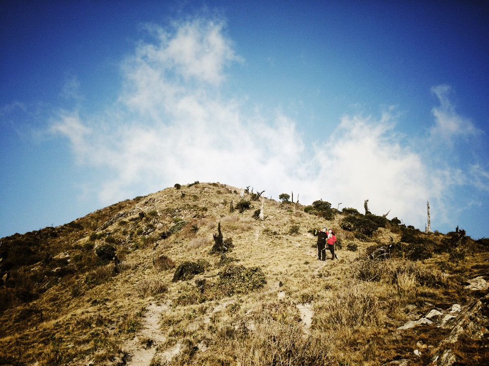 Mốc đỉnh 2.985m đã ở ngay phía trước. Qua nhiều lần cháy rừng, giờ đây Tà Chì Nhù chỉ còn là những ngọn núi trơ trụi. Có dự án trồng thông phủ xanh núi của chính phủ nhưng diện tích cũng chưa được nhiều và cây cũng mới trồng được vài năm. (Ảnh: Xuân Mai/Vietnam+)