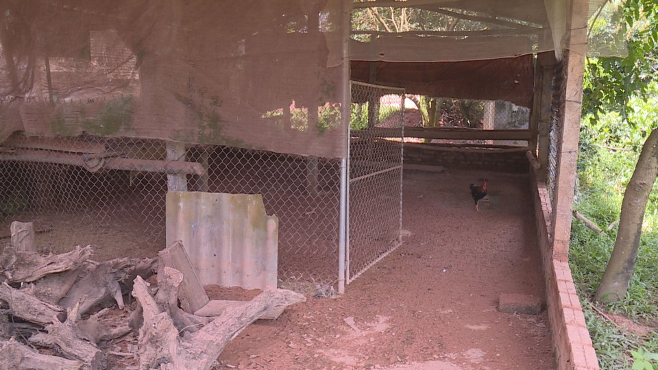 Đất đồi tại xã Phú Sơn đang bị 'băm nát.' (Ảnh: Nguyễn Văn Cảnh/TTXVN)