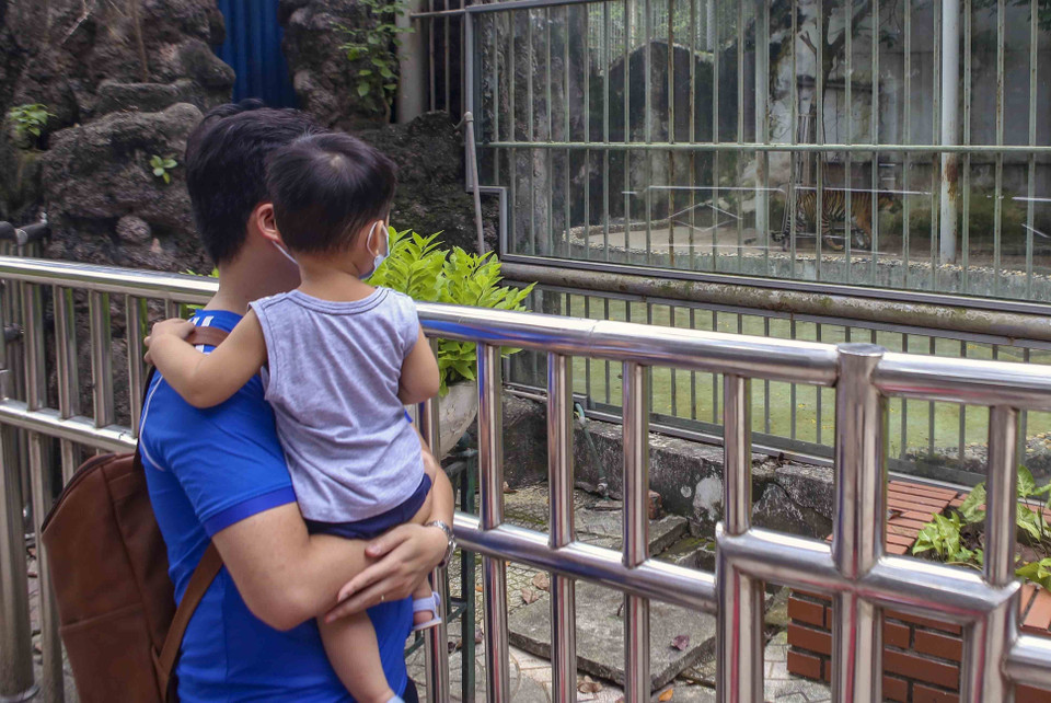 Một trẻ nhỏ được cha mẹ đưa tới tham quan và trải nghiệm không gian vườn thú với nhiều loài động vật. (Ảnh: Tuấn Đức/TTXVN)