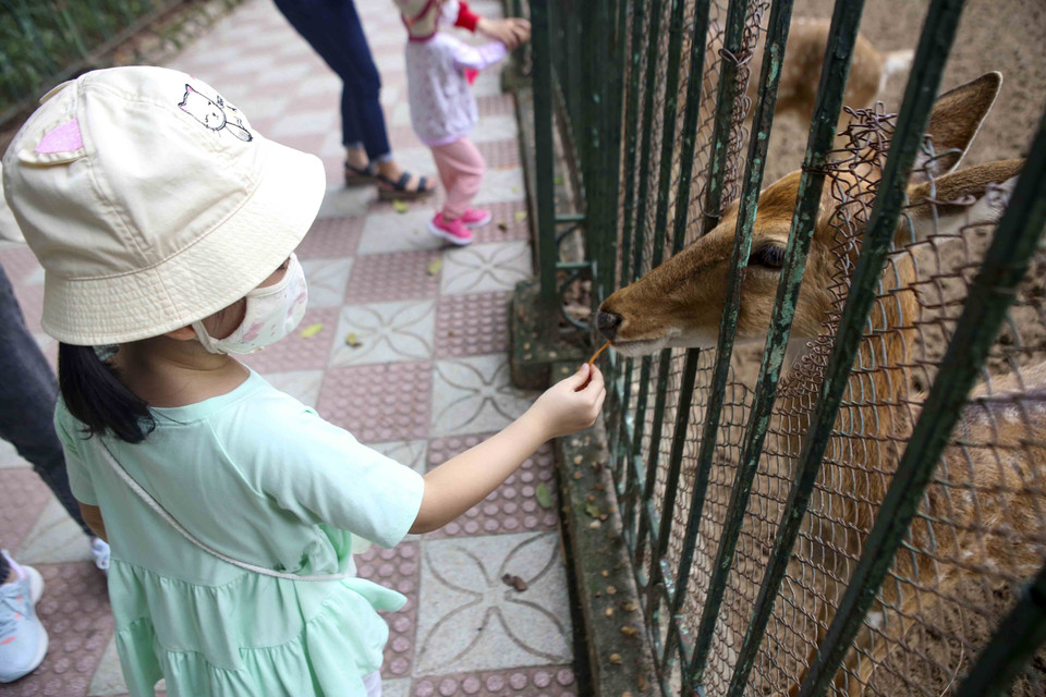 Trẻ em được trải nghiệm việc cho thú ăn. (Ảnh: Tuấn Đức/TTXVN)