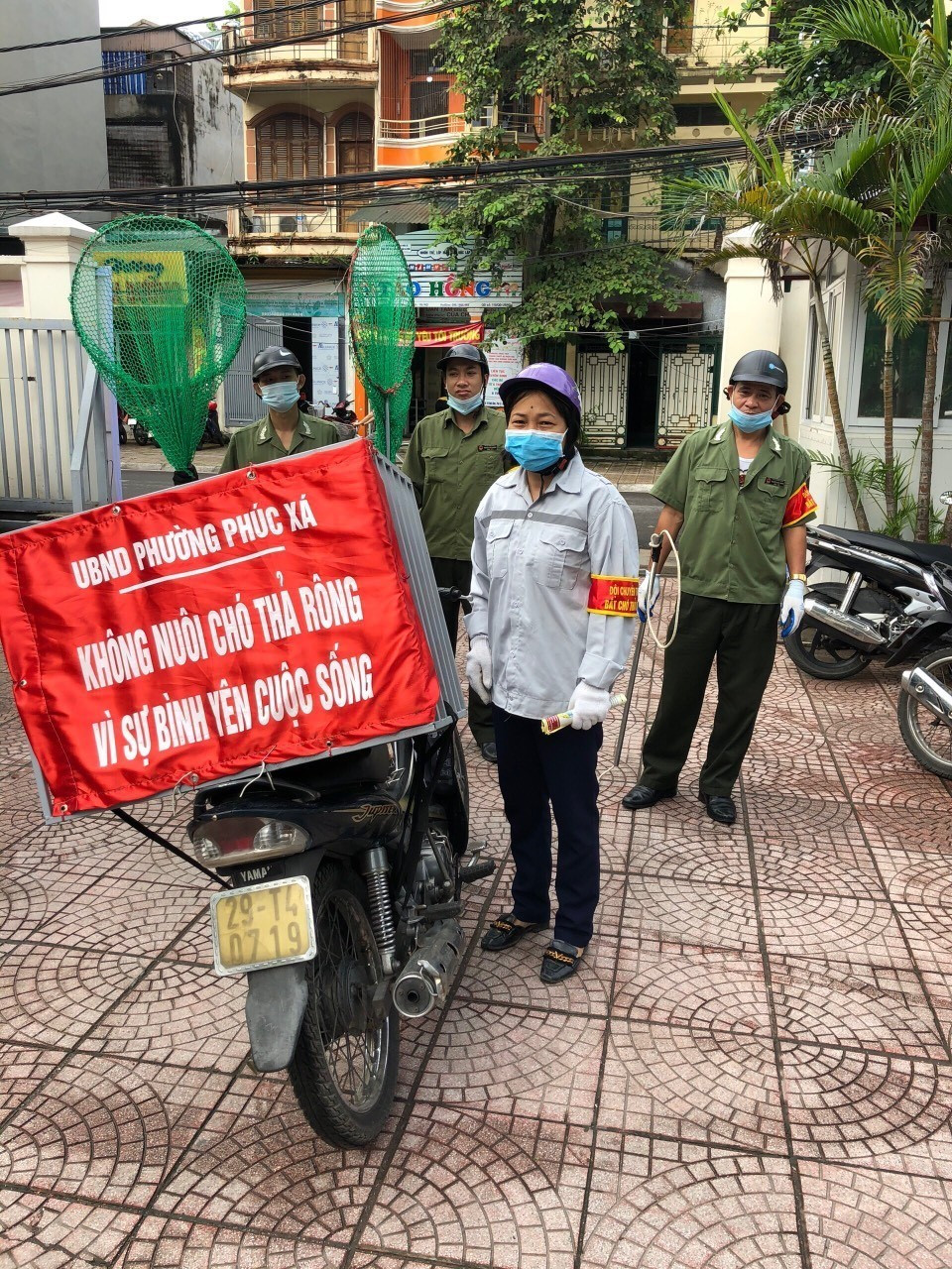 Đội bắt chó thả rông được thành lập nhằm đảm bảo an toàn cho cộng đồng. (Ảnh TTXVN phát)