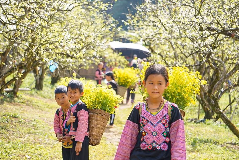 Thung lũng mận Nà Ka luôn là điểm đến của du khách mỗi dịp Tết đến Xuân về. (Ảnh: Khánh Hòa/TTXVN)