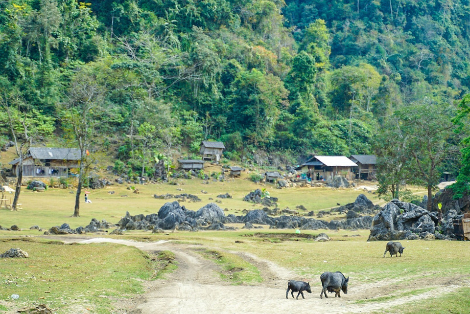 Hang Táu (làng nguyên thủy) là một trong những địa điểm được huyện Mộc Châu định hướng phát triển du lịch bên vững bảo tồn, giữ gìn nét văn hóa và tự nhiên ở nơi đây. (Ảnh: Khánh Hòa/TTXVN)