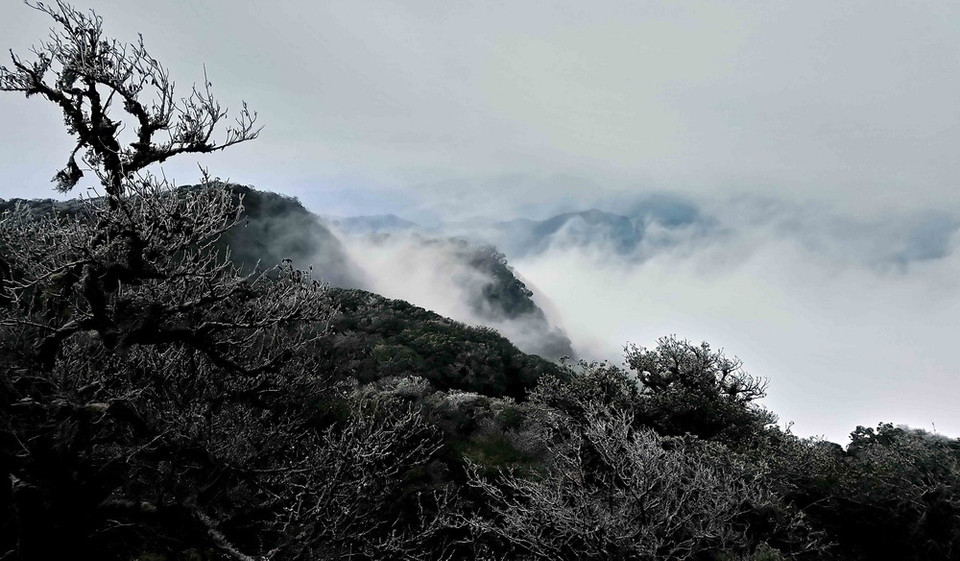 Băng giá trên đỉnh núi Phia Oắc, huyện Nguyên Bình. (Ảnh: Quốc Đạt/TTXVN)