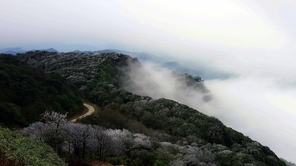 Băng giá phủ kín đỉnh núi và cành cây tạo nên một cảnh tượng đẹp kỳ vỹ thu hút nhiều khách du lịch đến thưởng ngoạn. (Ảnh: Quốc Đạt/TTXVN)