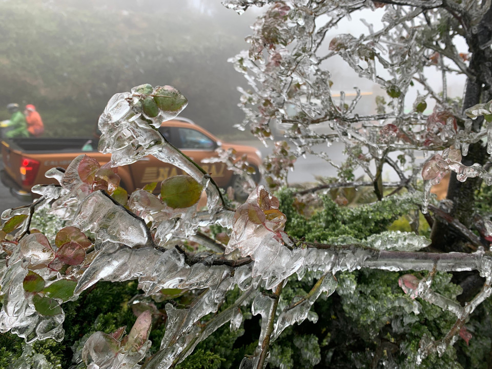 Băng giá xuất hiện dày đặc trên đỉnh Ô Quý Hồ. (Ảnh: Nguyễn Oanh-TTXVN)