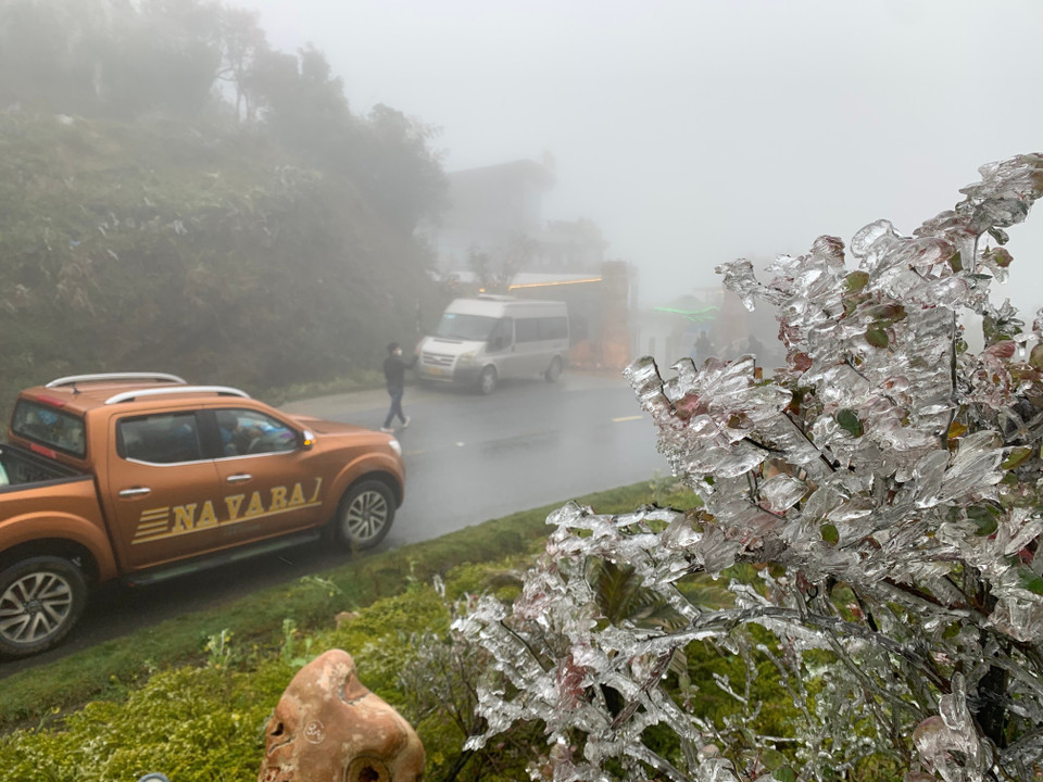 Băng giá xuất hiện dày đặc trên đỉnh Ô Quý Hồ. (Ảnh: Nguyễn Oanh-TTXVN)