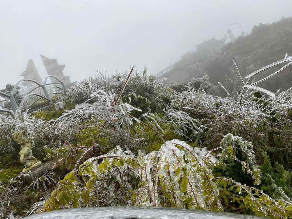 Băng giá xuất hiện dày đặc trên đỉnh Ô Quý Hồ. (Ảnh: Nguyễn Oanh-TTXVN)