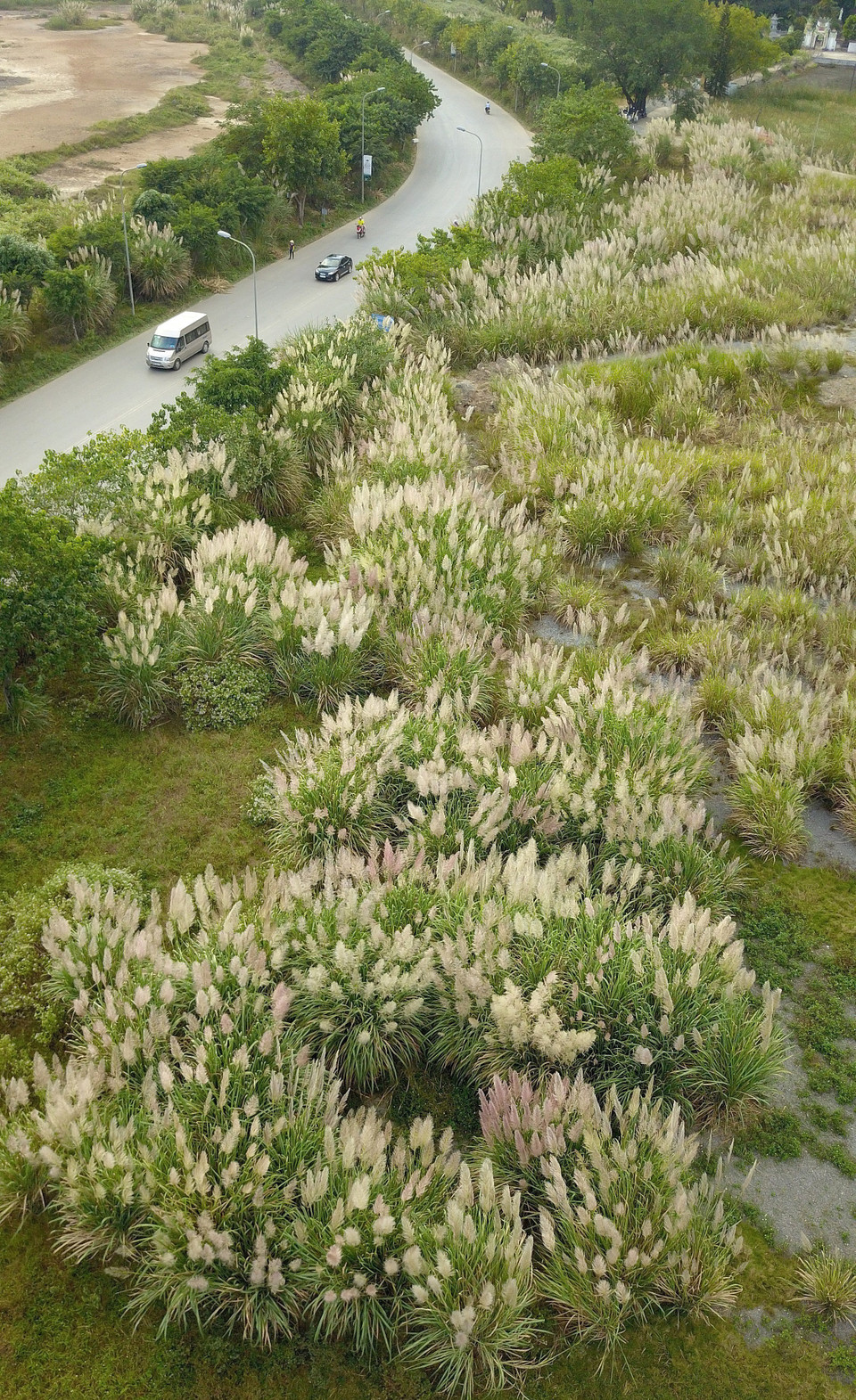 Khu du lịch sinh thái Tràng An (Ninh Bình) với vẻ đẹp của thiên nhiên tạo hóa, mỗi mùa lại mang một nét đẹp và dấu ấn rất riêng. Khi mùa đông đến, những cánh đồng hoa lau nở trắng bạt ngàn tô thêm sắc màu hoang sơ, thơ mộng làm say đắm du khách thập phương.(Ảnh: Minh Đức/TTXVN)