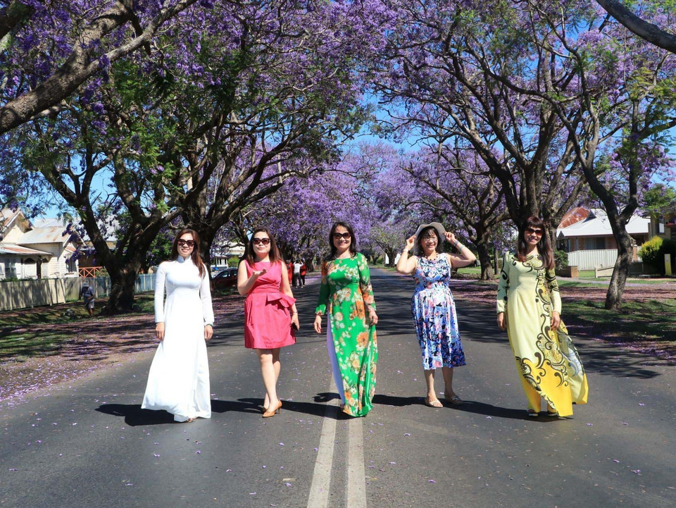 Du khách Việt chụp ảnh kỷ niệm trên một con phố ngập tràn hoa phượng tím ở Grafton, Australia. (Ảnh: Nguyễn Minh/TTXVN)