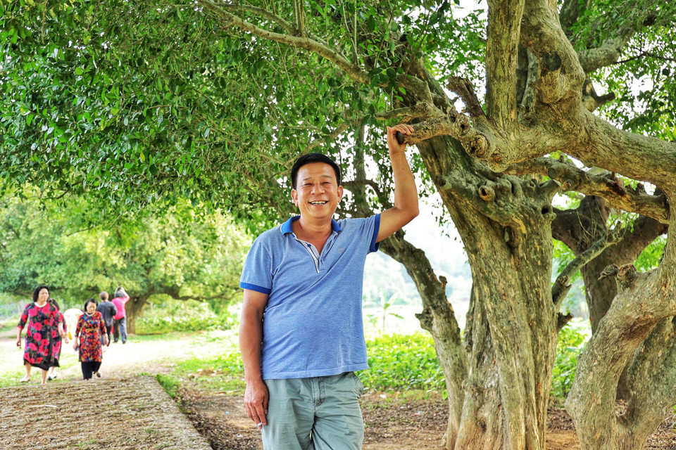 Các du khách đến từ Hà Nội cho biết mặc dù đã đi Đường Lâm nhiều lần nhưng đây là lần đầu tiên ghé rặng duối di sản, thấy không khí rất trong lành, quanh cảnh bình yên. (Ảnh: Xuân Mai/Vietnam+)