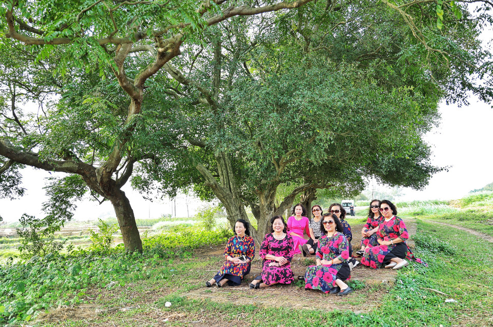 'Câu lạc bộ hưu trí' của một ngân hàng ở Hà Nội dừng chân dưới tán cây mát mẻ... (Ảnh: Xuân Mai/Vietnam+)