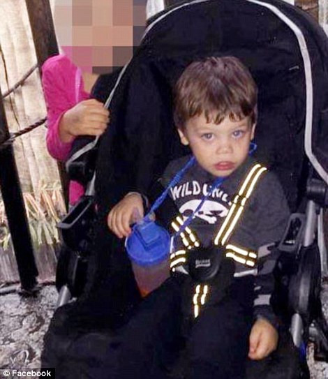 Cậu bé Lane Graves. (Nguồn: Daily Mail)