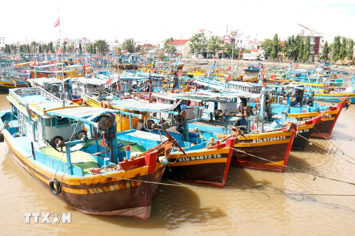 Bắt tạm giam ba cán bộ Trung tâm Đăng kiểm tàu cá tại Lâm Đồng