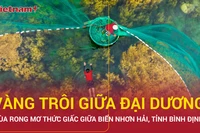 Mùa rong mơ thức giấc giữa biển Nhơn Hải, du lịch Bình Định hút khách 
