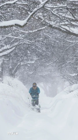 Canada tuyết phủ trắng xóa. (Ảnh: THX/TTXVN)