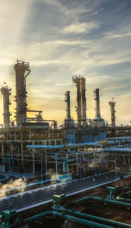 Ảnh minh họa. (Nguồn: Internet)