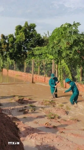 Lực lượng chức năng khắc phục hậu quả bão số 13. (Ảnh: Hồng Điệp/TTXVN)