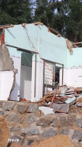 Triều cường gây sạt lở nghiêm trọng bờ biển các xã phía Nam tỉnh Quảng Ngãi