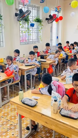 Tại Kỳ họp thứ 5 diễn ra giữa tháng 7/2026, Hội đồng Nhân dân thành phố Hà Nội đã thông qua Nghị quyết quy định cơ chế hỗ trợ bữa ăn bán trú cho học sinh tiểu học trên địa bàn thành phố từ năm học 2026-2027. (Ảnh: Vietnam+)