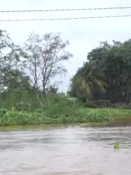 Cần Thơ: Vỡ đê cồn Sơn khi triều cường lên cao vượt mốc lịch sử